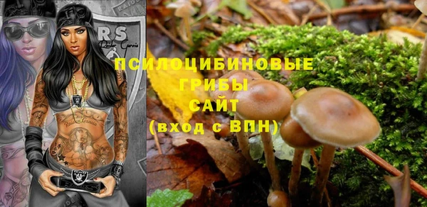 ПСИЛОЦИБИНОВЫЕ ГРИБЫ Абинск