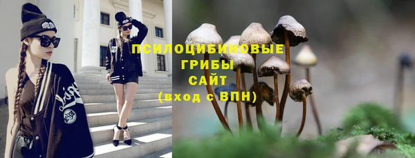 не бодяженный Абаза