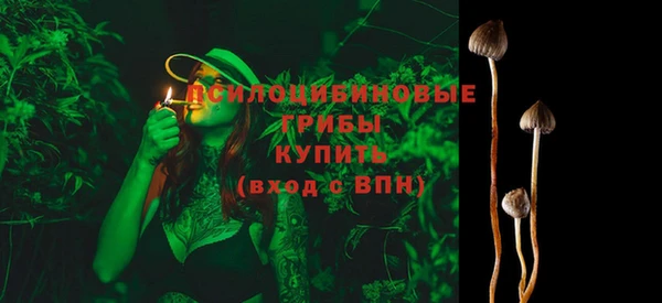 ПСИЛОЦИБИНОВЫЕ ГРИБЫ Абинск