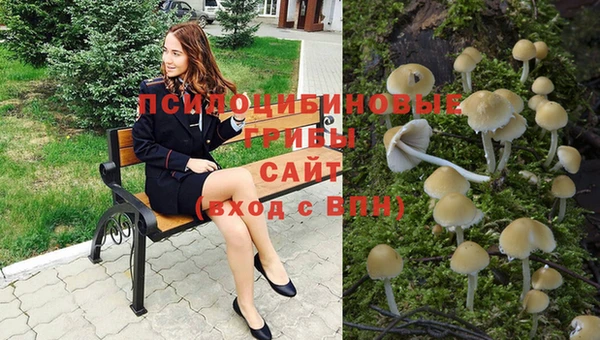 тгк Абдулино