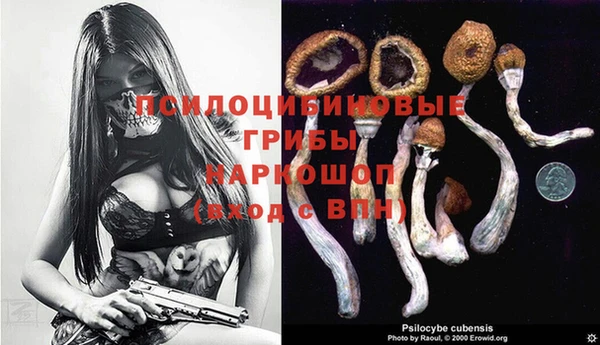 тгк Абдулино