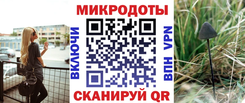 Псилоцибиновые грибы прущие грибы  Ахтырский 